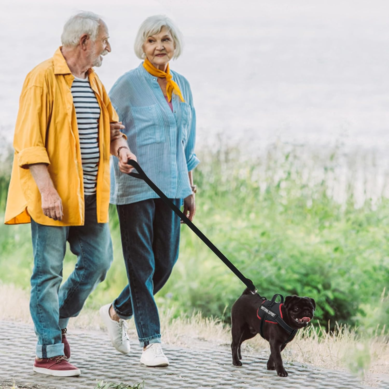 Voopet Emotional Support Dog Harness, Professional Service Dog Vest for Small to Large Dogs, Reflective, Breathable, Adjustable, No Pull/Choke, ESA Essential Harness