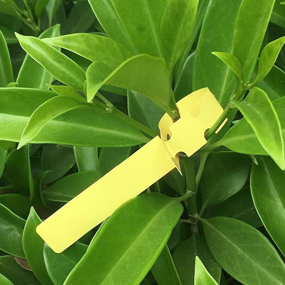 Mziart 120Pcs 6 Colors Plastic Plant Labels Wrap around Tree Tags Markers, Adjustable Nursery Garden Labels Plant Tags with Large Writing Surface image number 1