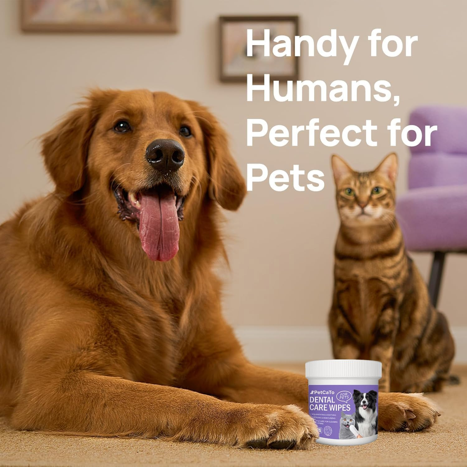 Mumoo Bear Mumoo Bear Dog Dental Care Finger Wipes - Teeth Cleaning Finger Wipes for Dog & Cats - Tooth Brushing Kit Dental Wipes for Dog - Reduces Plaque & Freshens Breath (50 PCS, Unscented)