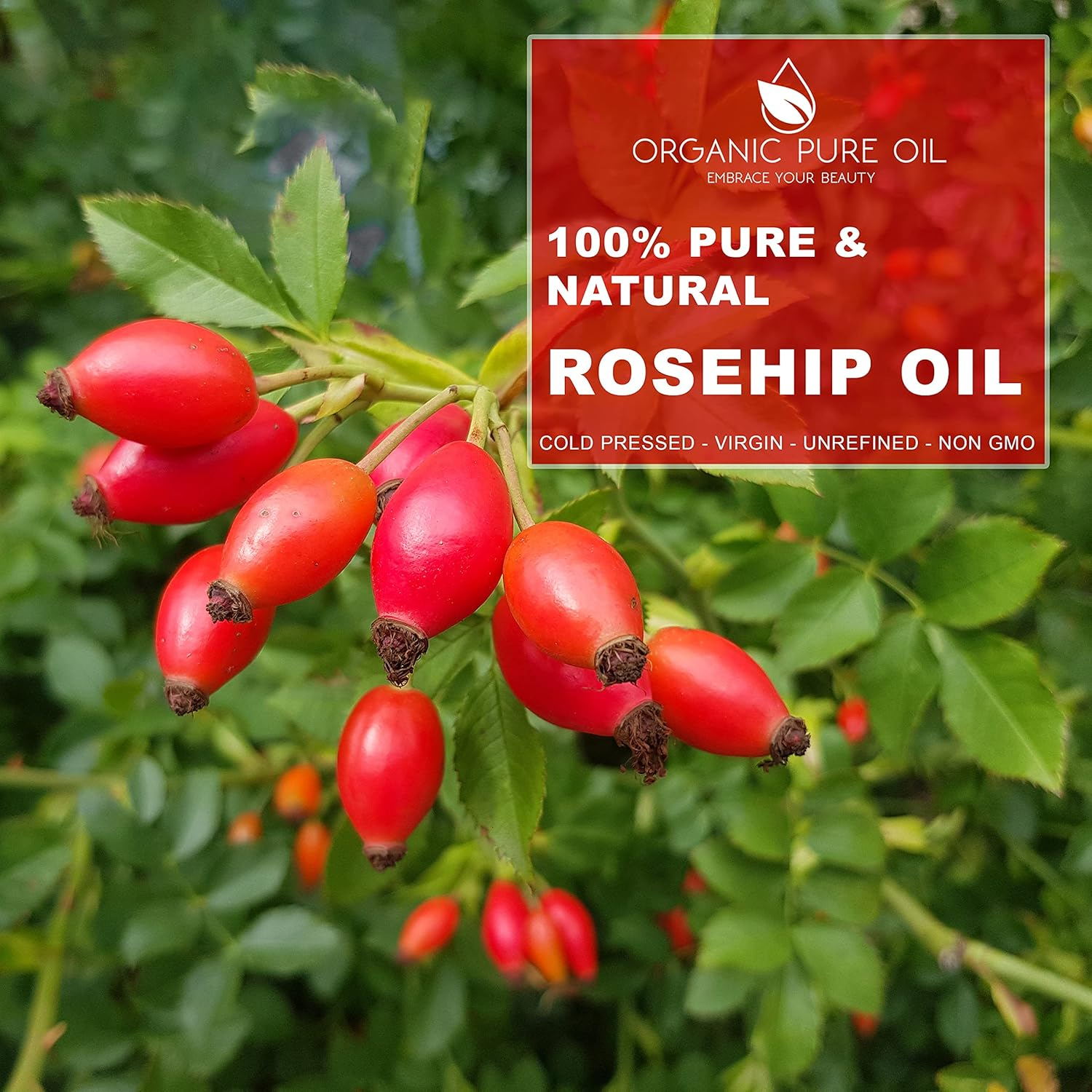 OPO Rosehip Oil - 8 Oz - Pure, Unrefined, Non GMO, Cold Pressed, Vegan Carrier Oil for Face, Hair, Skin, Nails, Body Aging Skin Beard Locs Mustache Lashes - Packaging May Vary image number 1