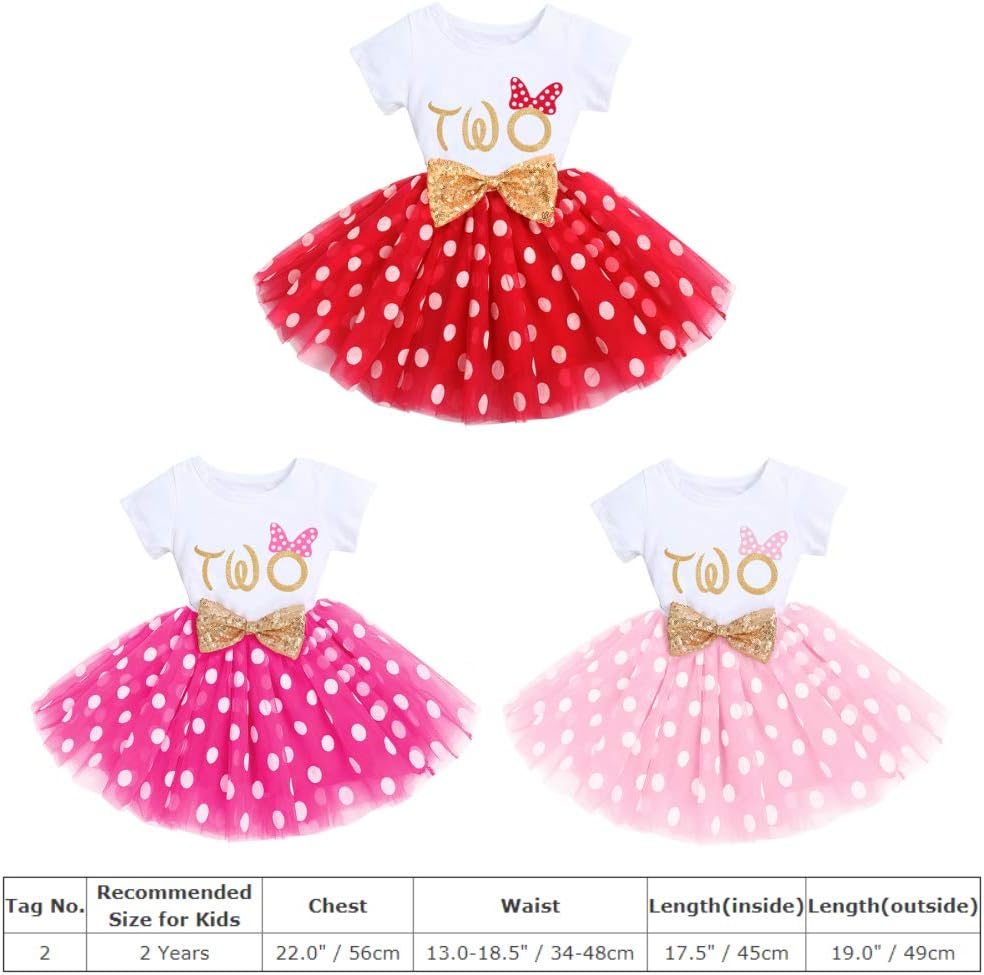 IMEKIS Baby Girls Mouse 1St 2Nd Birthday Dress Polka Dots Tulle Tutu Cake Smash Summer Party Photo Props image number 5