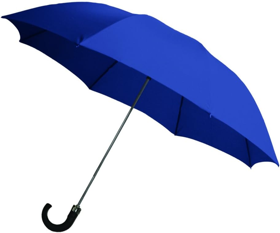 Rainbrella 2-Fold Auto Open Umbrella