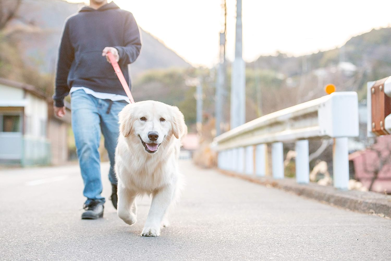 EZYDOG Soft Trainer Dog Leash, Orange, 47.2 Inches (120 Cm) image number 6