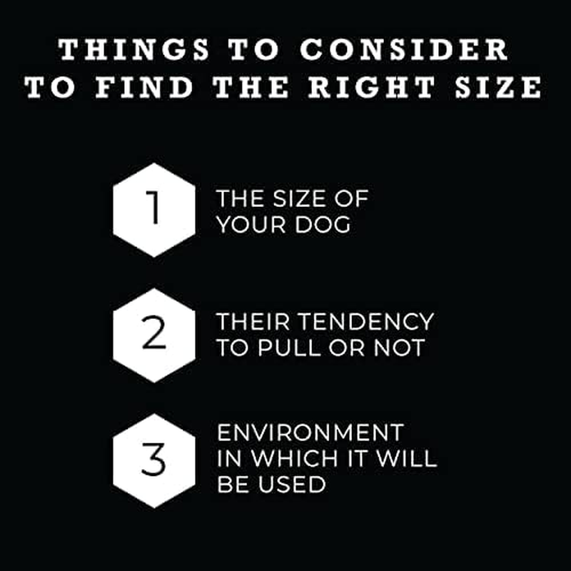 Wolfgang Heavy Duty, Adjustable Dog Collar with Quick Release Nylon Buckle for Walking & Training, Mountainwave Print, Large image number 7