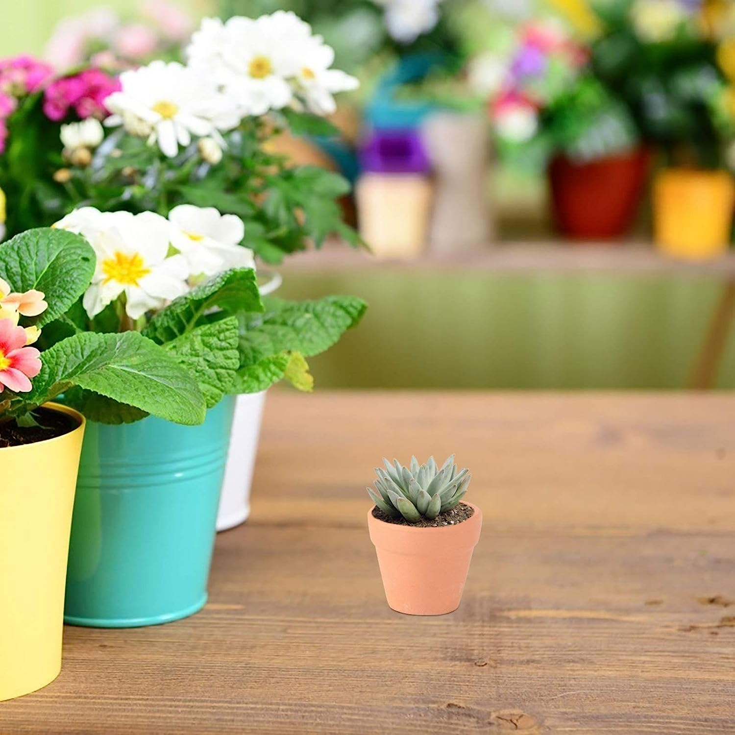 12PCS Mini Clay Pots, 1. 2 Terracotta Pot Clay Ceramic Pottery Planter, Cactus Flower Cotta Pots, Succulents Nursery Pots, with Drainage Hole, for Indoor/Outdoor Plants, Crafts image number 3