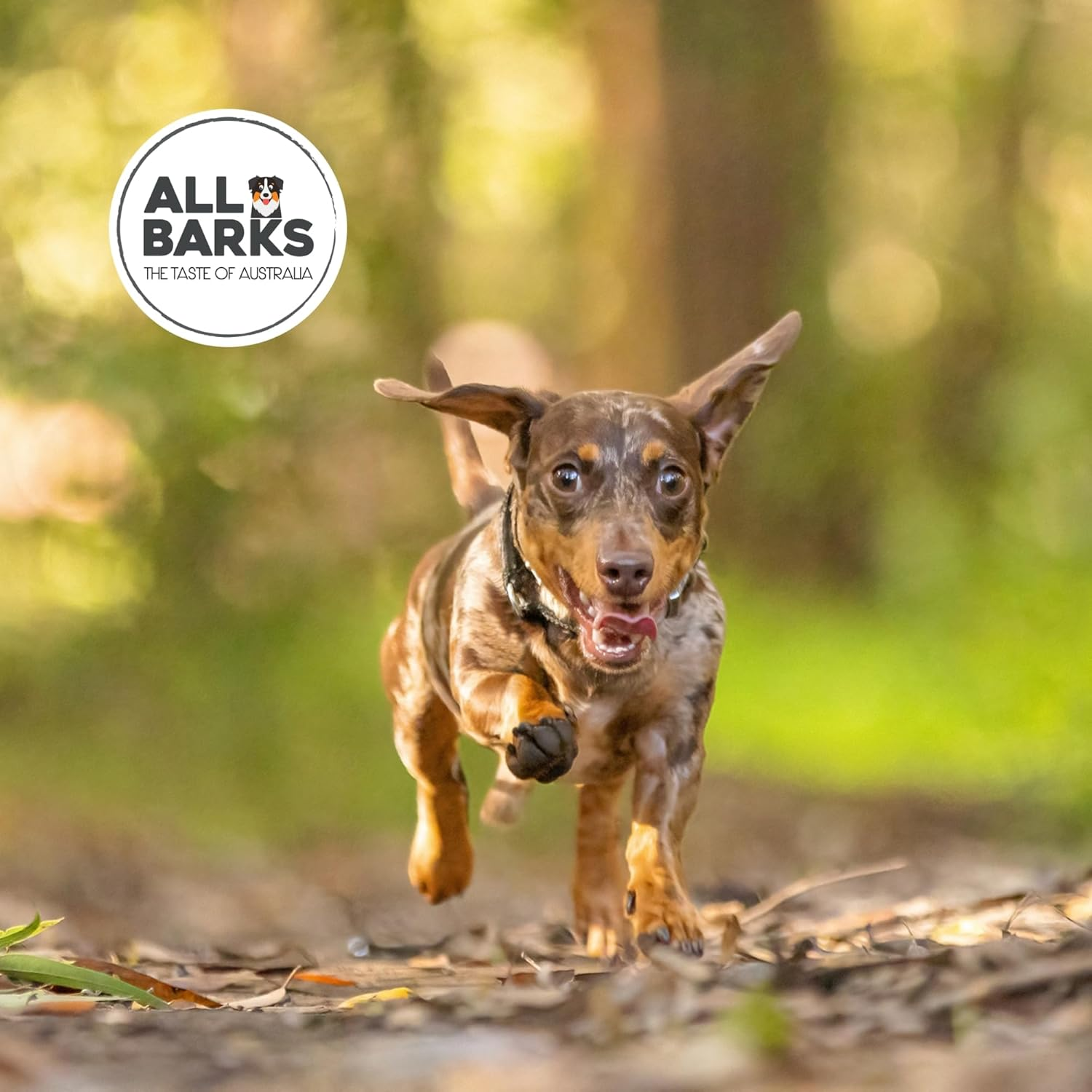 ALL BARKS Outback Sticks - 100% Real Aussie Beef - Natural, Grain-Free, Australian Dog Treats - Snacks, Treats & Rewards for Your Dog - 110G - Approx 8 Sticks per Bag image number 2