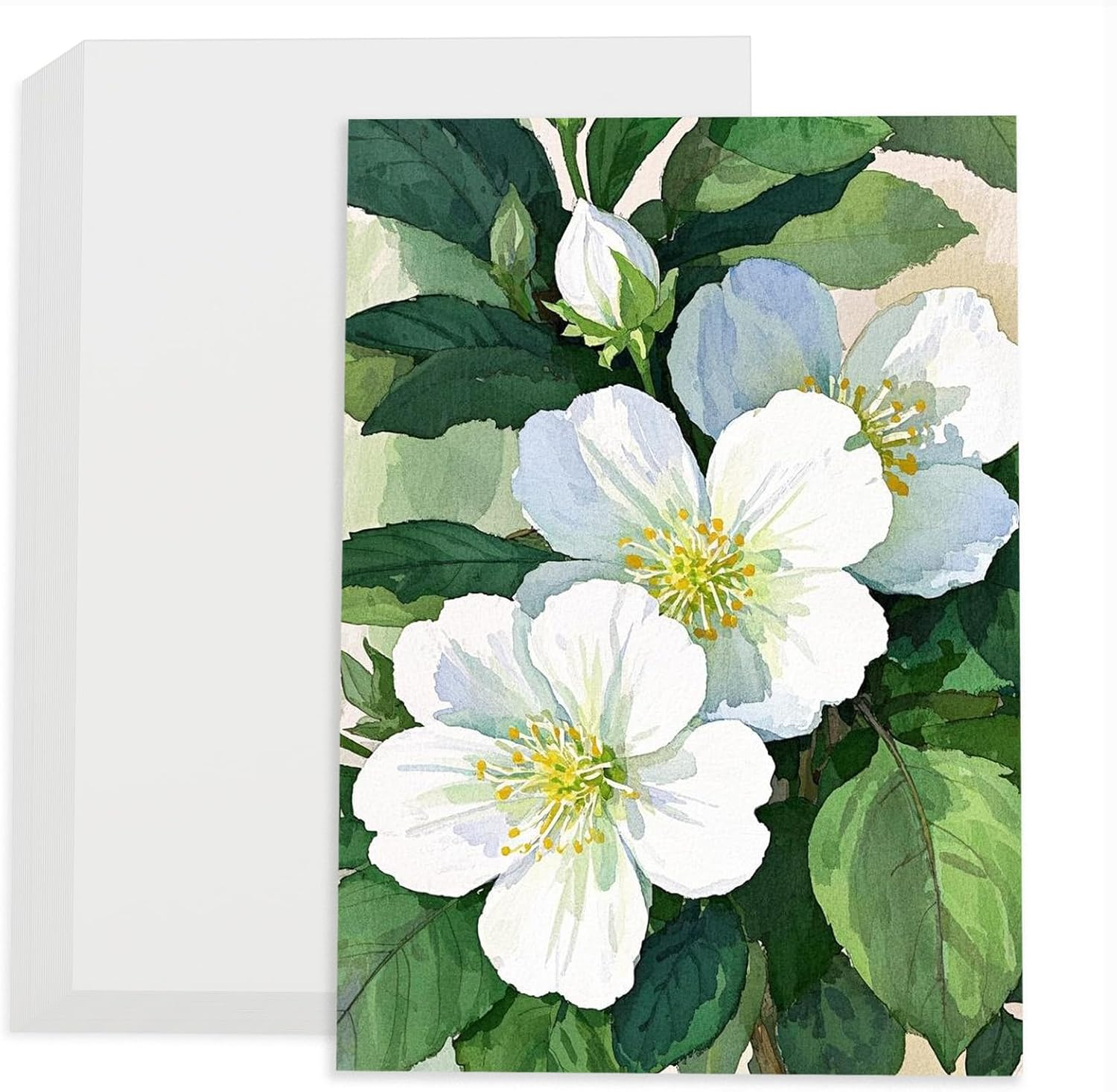 100% Cotton Watercolour Paper - 140LB/300GSM, Medium Grain | Acid-Free Heavyweight Thick White Cold Press Paper for Professional Artists, Students & Hobbyists, 30 Sheets, 16K Size (26 * 18Cm) image number 5