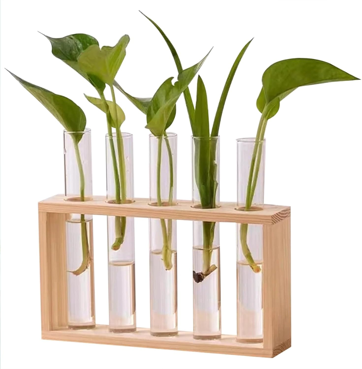 Desktop Plant Propagation Stations, Clear Cylinder Glass Foldable Vase Test Tube with Wooden Stand,Propagation Station,Gifts for Plant Lovers,5 Vases - A image number 5