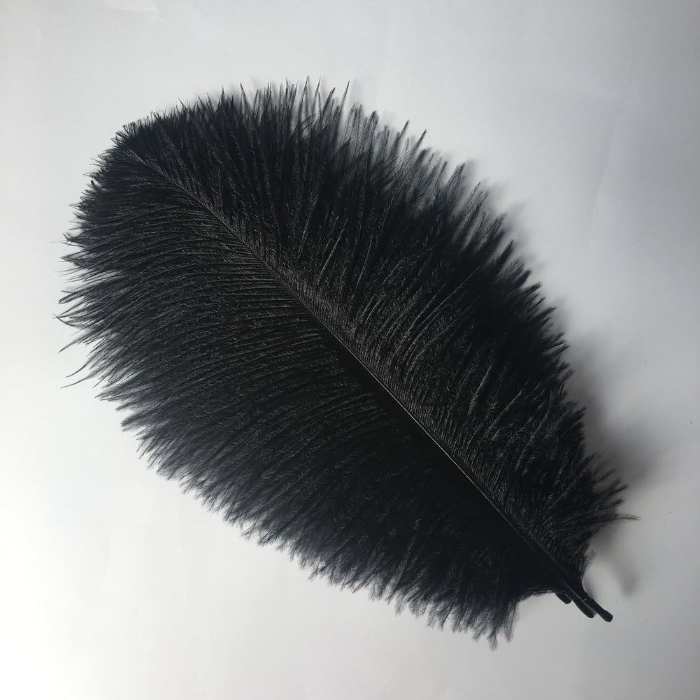 Sowder 6-8Inch(15-20Cm) Ostrich Feathers Plume for Wedding Centerpieces Home Decoration Pack of 10Pcs (Black)