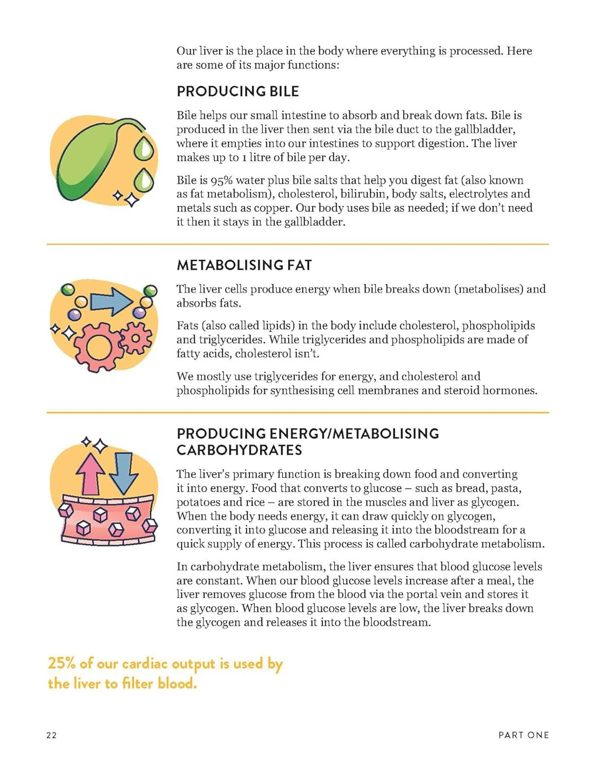 The Liver Repair Plan: Four Weeks to Better Liver Health image number 2