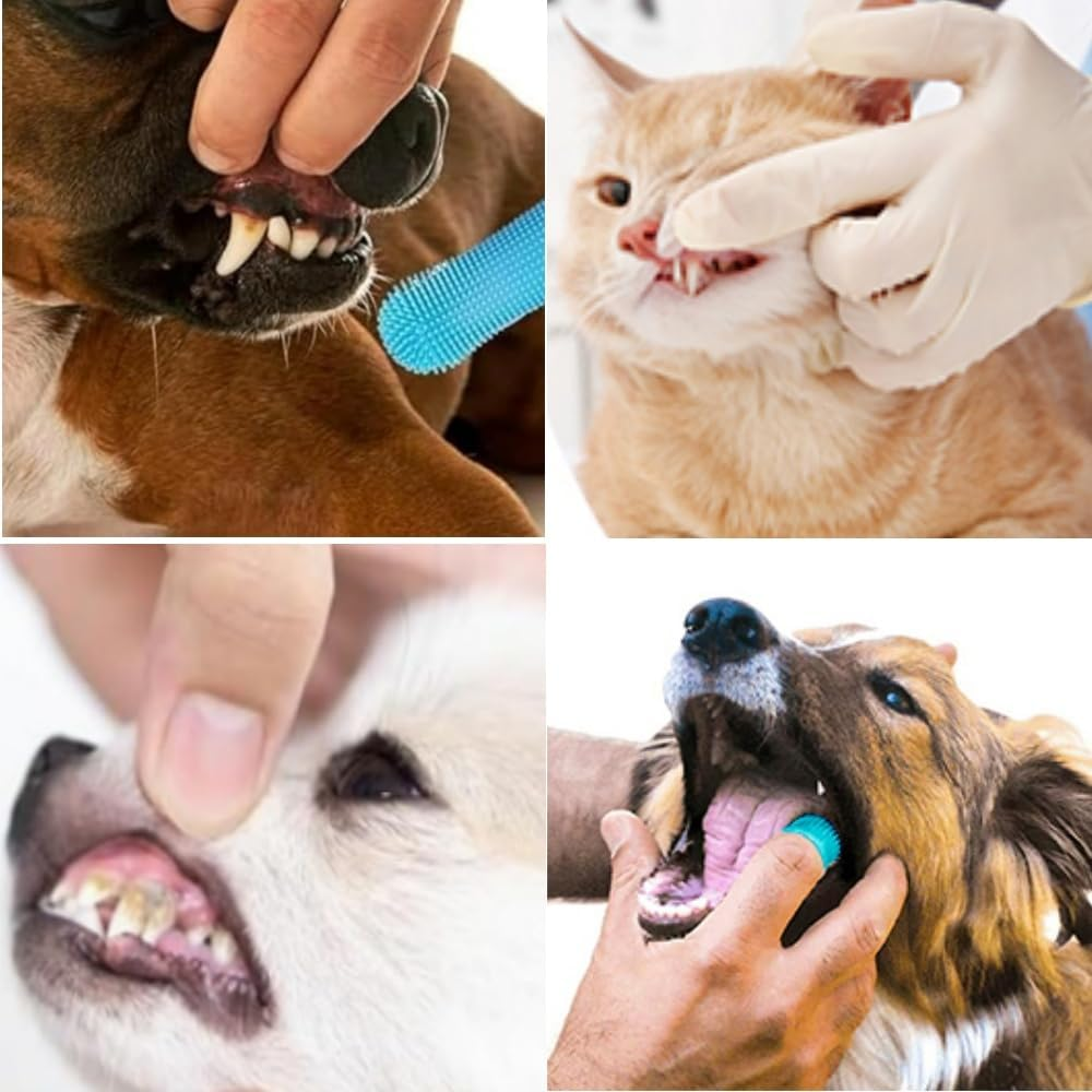 Loopunk Pet Finger Toothbrush,Silicone Finger Brush for Dogs and Cats, Full Surround Bristles for Easy Dental Cleaning &ndash; Puppy Toothbrush, Cat Toothbrush, Small Pet Oral Care Tool(4 Pcs) image number 1