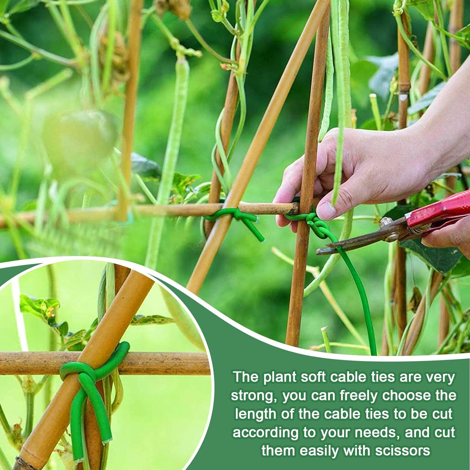 Garden Plant Twist Tie Set, 20M Soft Twist Ties with 100 Extra Plant Ties, Reusable Heavy Duty Soft Plant Metal Wire for Gardening, Inndoor, Outdoor, Plant Support image number 3