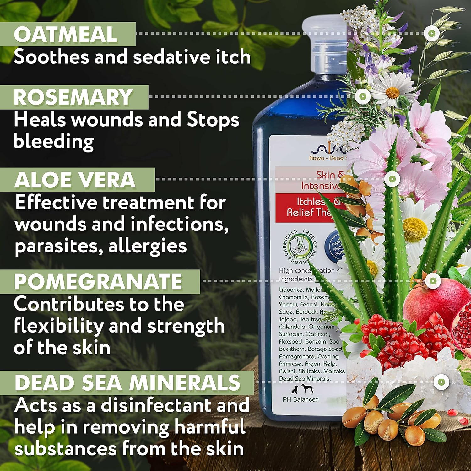 Arava Natural Medicated Dog Shampoo &ndash; anti Yeast anti Itch Dog Shampoo - Healthy Skin & Coat - First Aid in Hot Spots Ringworm Scrapes Abrasions & Dermatologic Infections image number 4