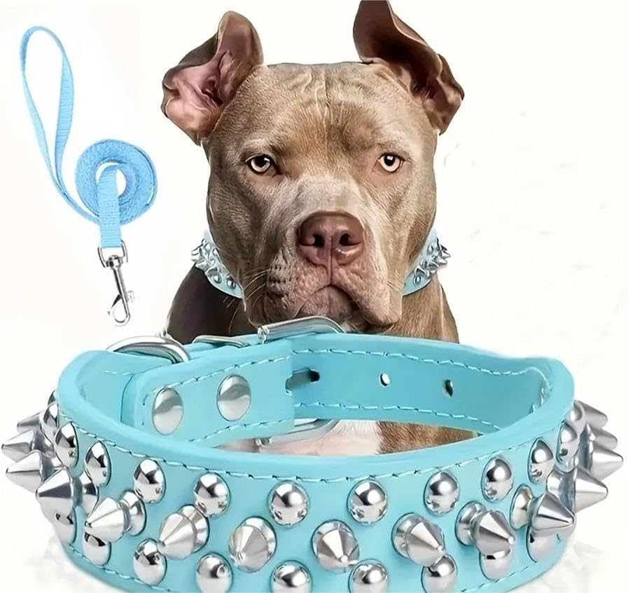 Pet Collar Rivet Studded Adjustable Necklace for Puppy Small Medium Dogs (Baby Blue, M)