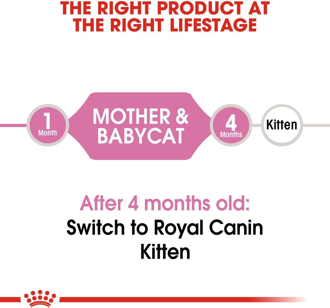 Royal Canin First Age Mother and Babycat Dry Food 2 Kg
