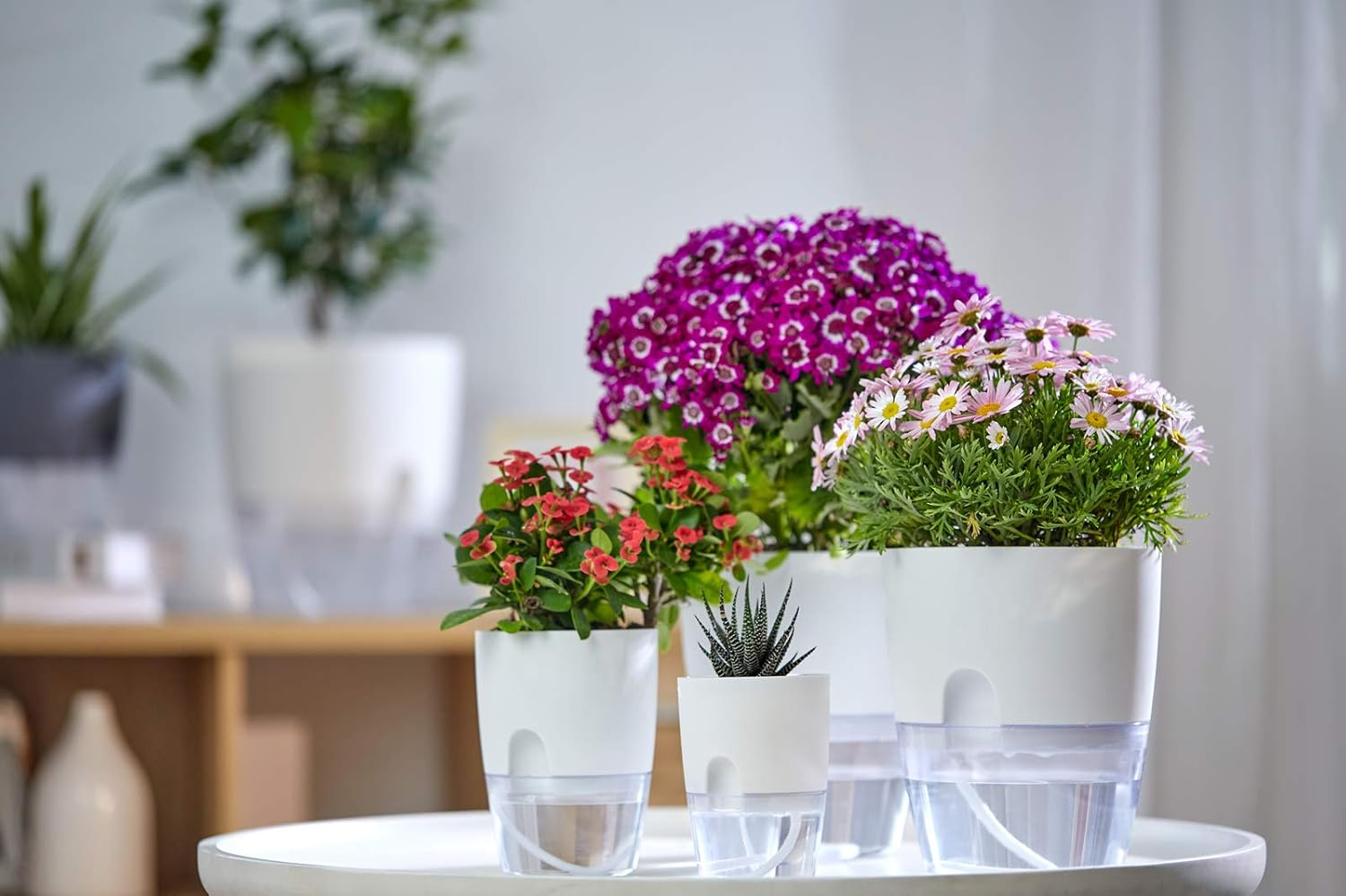 Self Watering Planter for Indoor Plants, 2 Pack &Oslash;23.5Cm Flower Pot Modern Decorative Plastic Planter with Extra Large Water Storage for All House Plants, Flowers, Herbs image number 3