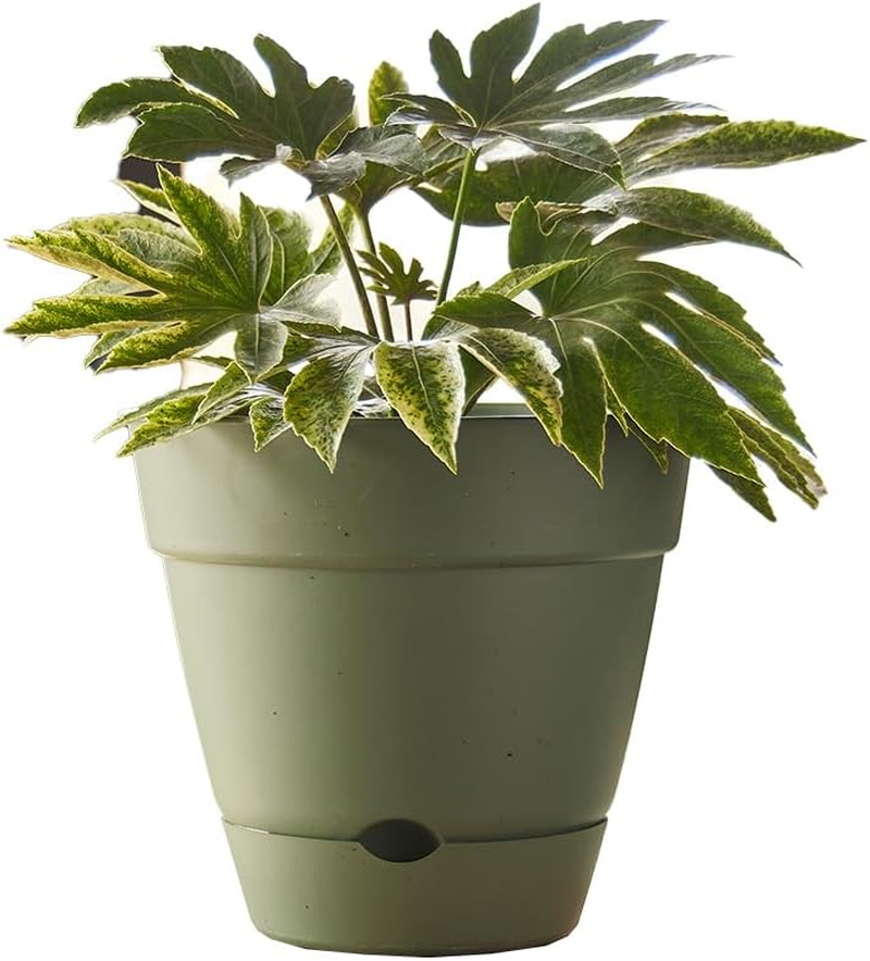 Northcote Pottery Leonard Self-Watering Pot, 31 X 27 Cm Size, Green