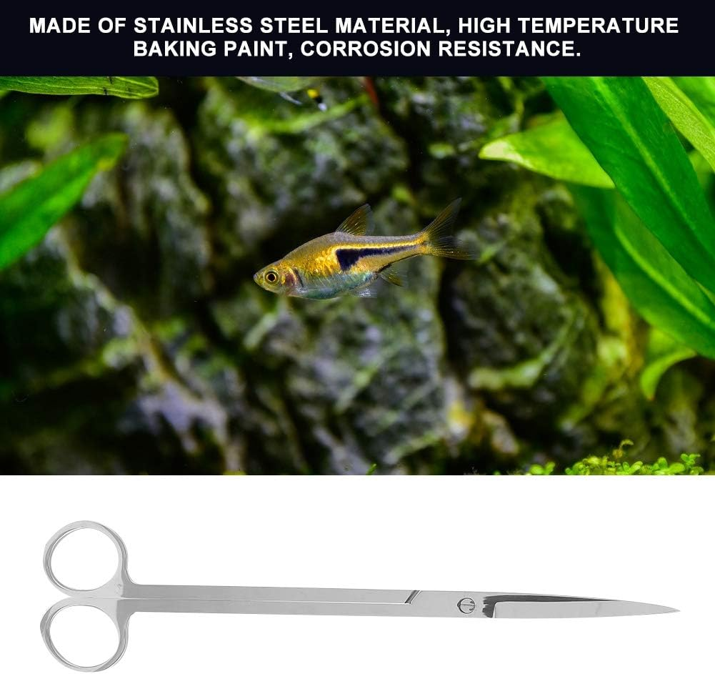 Stainless Steel Aquatic Plant Scissors Shears Aquatic Weed Cutter Aquarium Tank Water Plant Scissors Tools Fish Tank Starter Kits (Straight Cut) image number 6