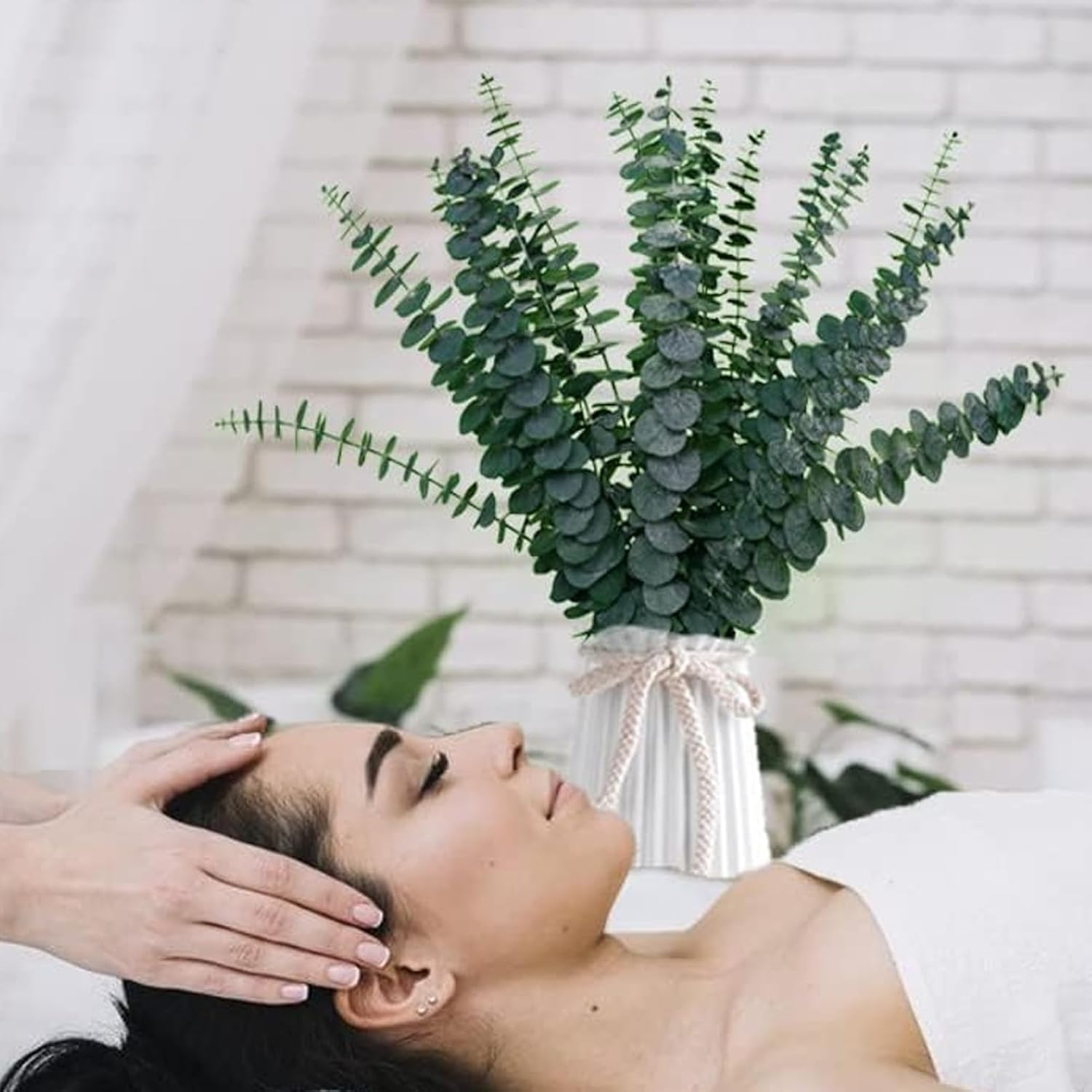 Dry Storage Large Packaging Eucalyptus Leaves - 30 PCS 16" True Leaf Branches - Dried for Shower Hanging, Flower Arrangement, Home Decor image number 1