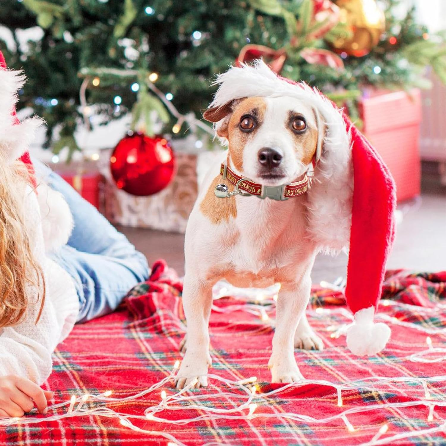 2 Pcs Christmas Dog Collar with a Bell, Red Green Christmas Adjustable Pet Collar 19-32Cm, Comfortable Cotton Durable Breakaway Dog Collar for Small Medium Dogs, Christmas Dog Gift (Gold Print)