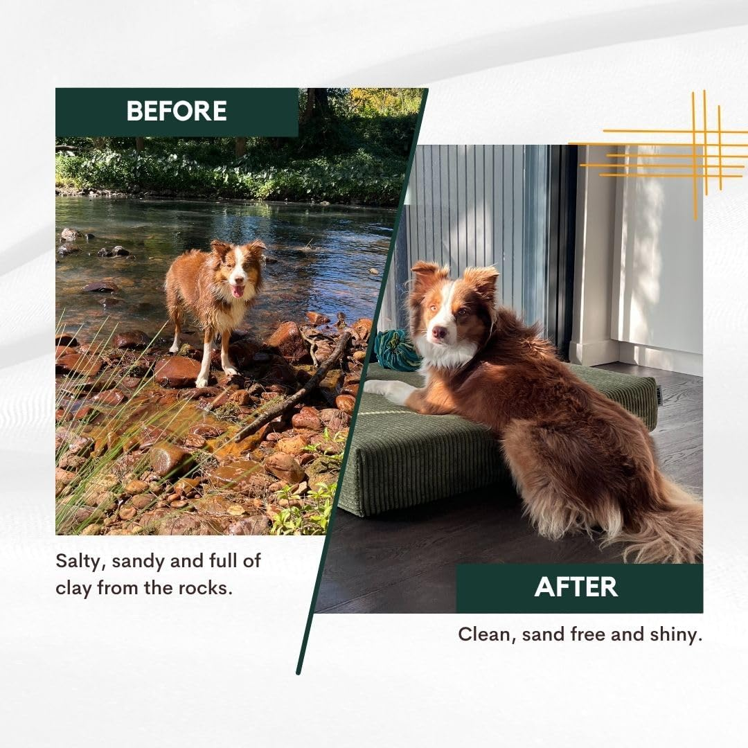 Dog Wipes Petz Park - Hypoallergenic, Cleaning and Hydrating, for Grooming Paws, Body and Butt - Coconut Scented, Made from 100% Compostable Bamboo - 100 Wipes image number 3