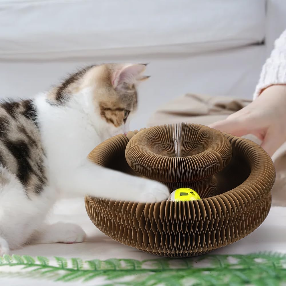 Mhwan Scratching Cocoon for Cats, 2-In-1 Cat Toy Self-Activity and Kitten image number 5