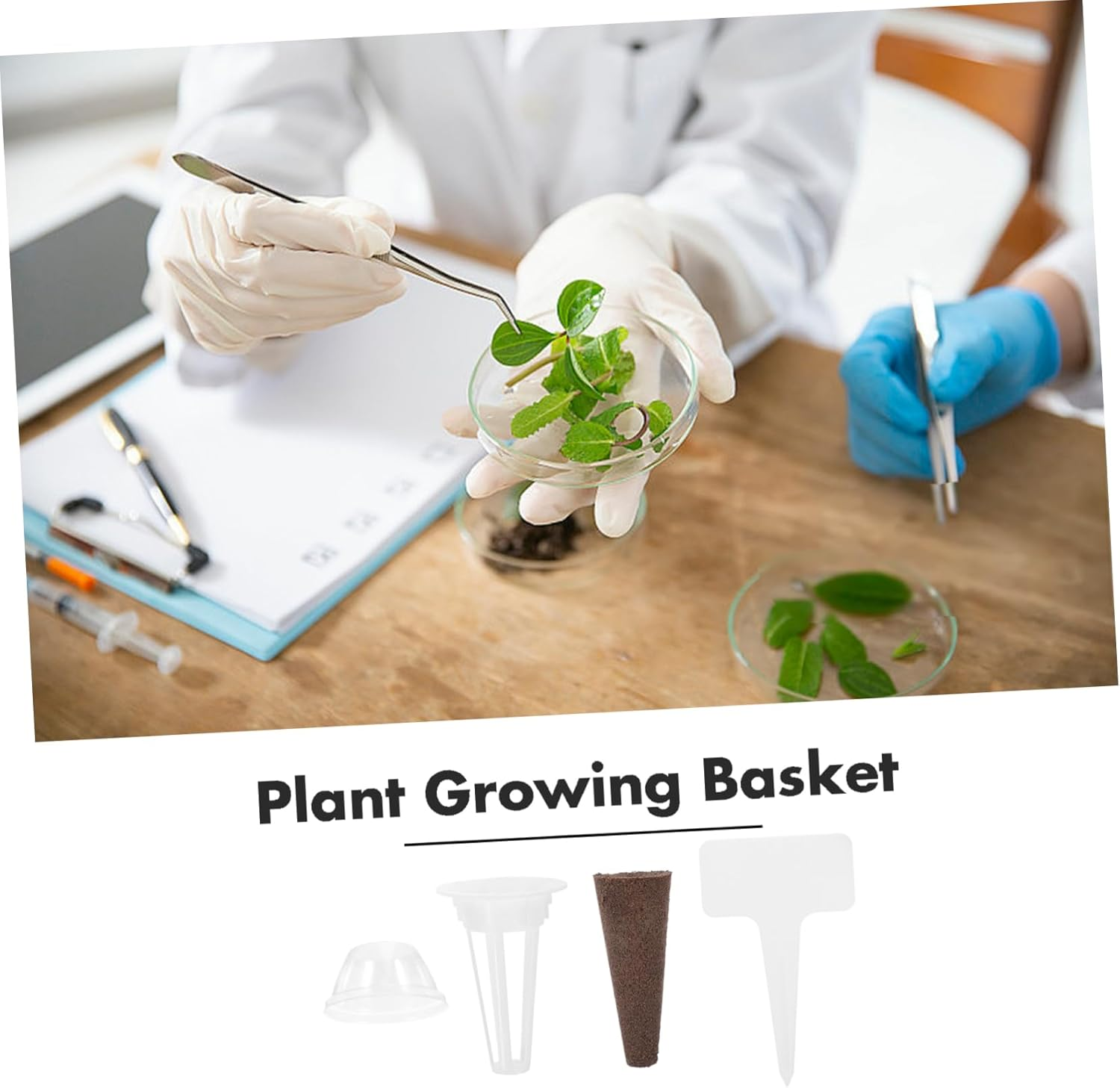 PAMINGONO 1Set Hydroponics Planting Kit with Plant Growth Sponges Containers for Indoor Hydroponic Gardening for Compatible Systems image number 5