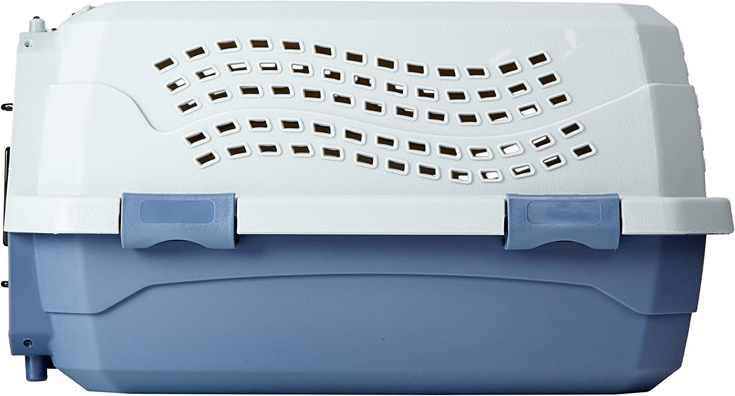 Amazon Basics Two-Door Top-Load Hard-Sided Pet Travel Carrier, 48 Centimeters image number 1