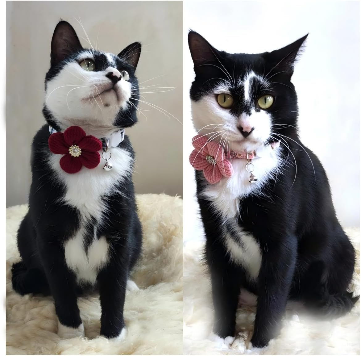 Small Dog Collar with Flower, Puppy Collar for Dog Collars for Small Dogs Cute Dog Collar with Bell, Adjustable Length (Pink, One Size) image number 4