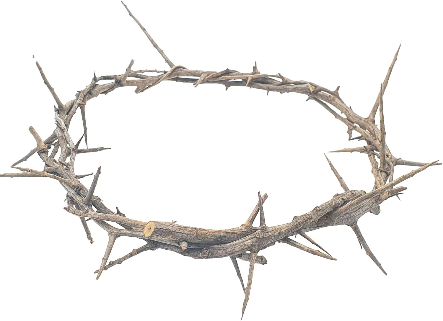 Jerusalem Authentic Biblical Lifesize Real Crown of Thorns with Box & Zuluf Certificate | Religious Easter Wreath Home D&eacute;cor Tree Topper | Jesus Christ Wall Decor Christmas Christian Gifts| HLG214 image number 2