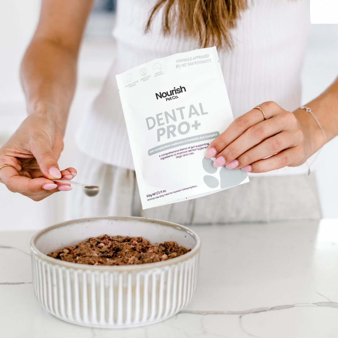 Nourish Pet Co. Dental Pro+ Pet Dental Powder, Cat & Dog Teeth Cleaning Powder, Breath Freshener, Fights Plaque and Tartar, Natural Ingredient Food Topper, 60G image number 4