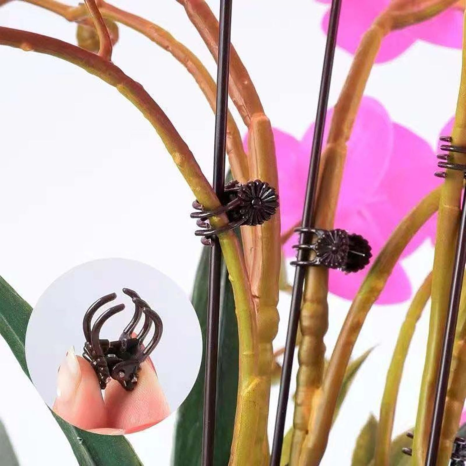 EOMECUIGAO Plant Orchid Clips 100 PCS Durable Garden Plant Clamps for Stems Branches Vines Secure Flowers Support Growth Prevent Drooping in Greenhouses Gardens Potted Plants（Dark Brown） image number 3