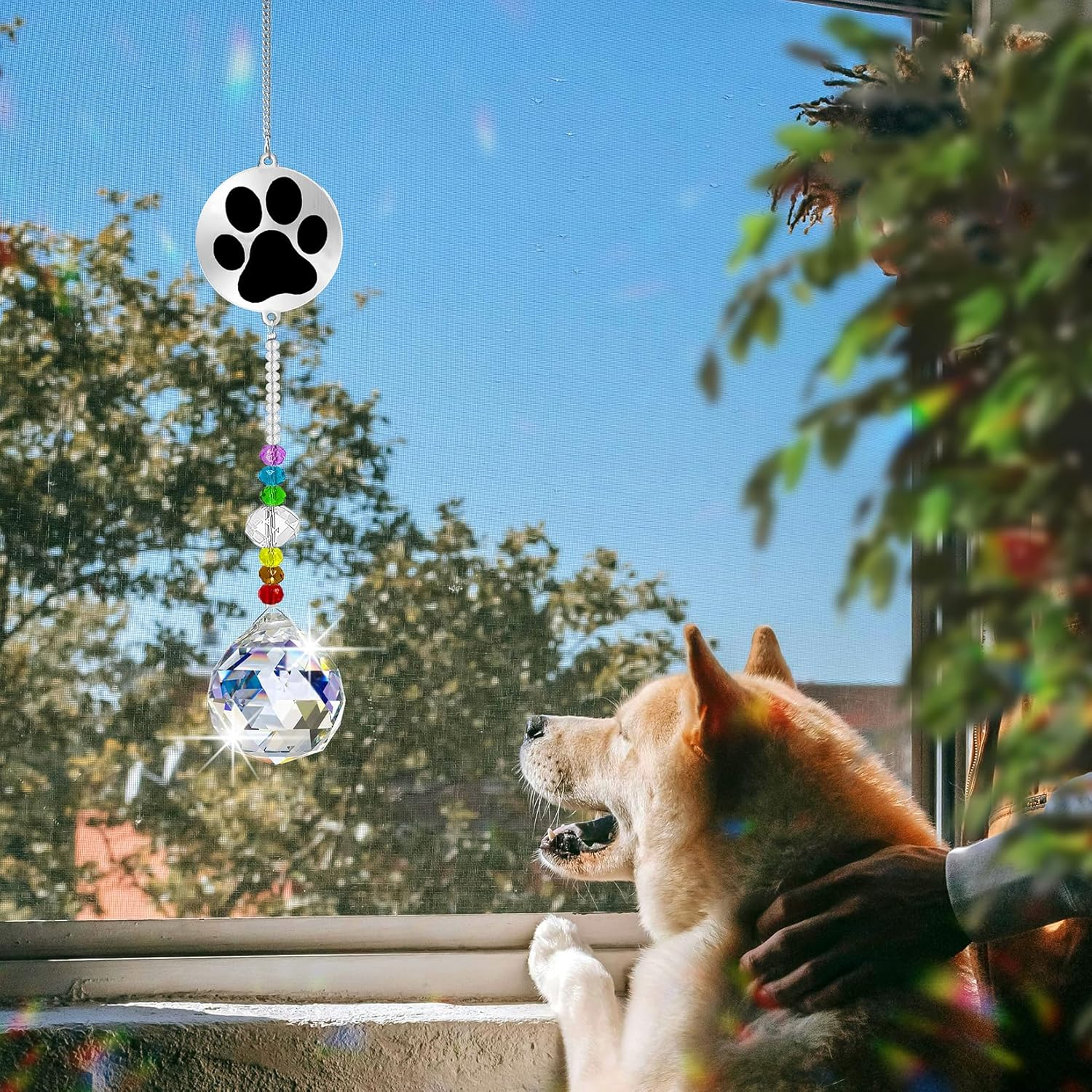 Peili Dog Memorial Gifts for Loss of Dog, Pet Paw Print Sympathy Gifts Crystal Window Suncatcher,Bereavement Gift Sun Catcher,Dog Remembrance Gift Rainbow Maker,Pet Passing Away Loss Gifts (D) image number 1
