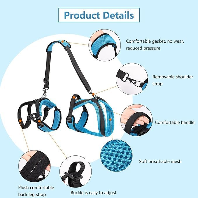 Pet Dog Carry Sling Pet Legs Support Rehabilitation Lift Harness for Disabled Injured Elderly Dog Joint Injuries Arthritis Blue (S) image number 3