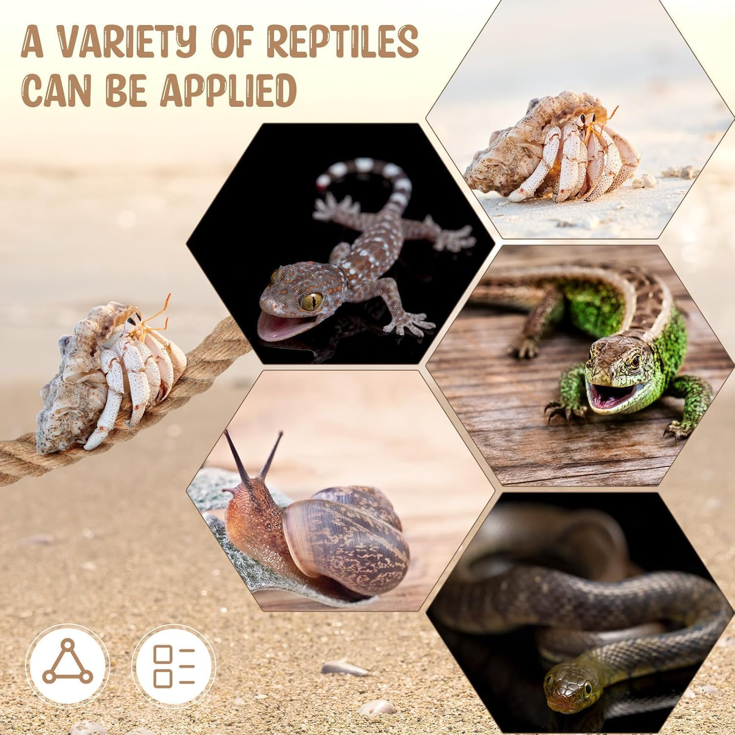 1PCS Hermit Crab Climbing Toy &ndash; Natural Jute Rope Ladder with Hooks, Reptile Terrarium Accessory for Hermit Crabs, Geckos, Lizards & Snakes, Tank Habitat Decor