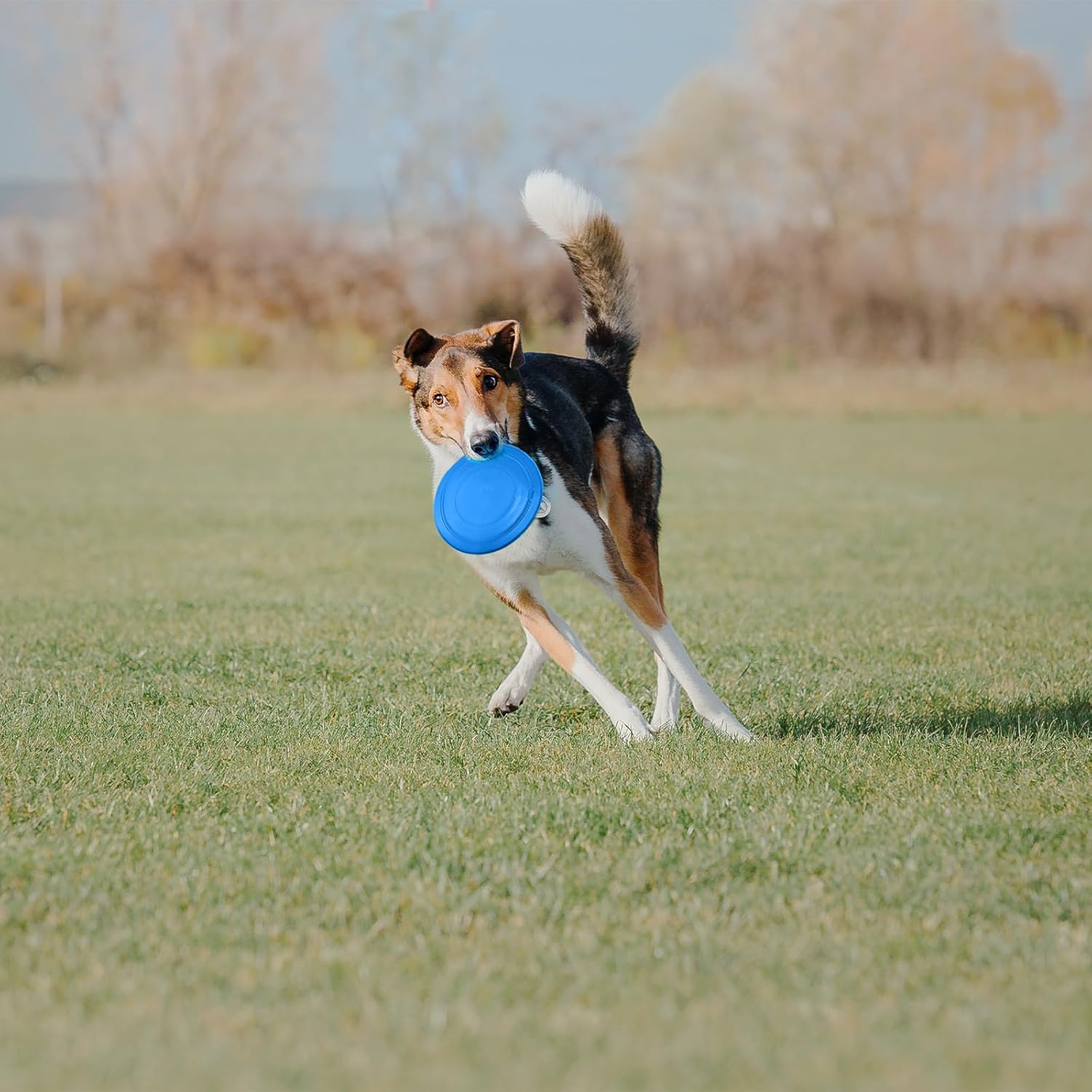 React Faster Training Interactive Toys, 2 PCS Dog Flying Discs for Small, Medium Puppies (17.8Cm/7In) image number 4