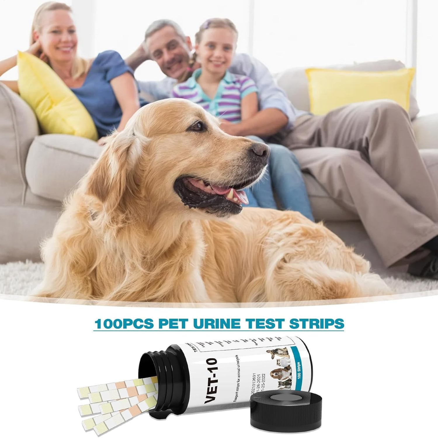 Pet Urine Test Strips - 100Pcs Accurate Kit, 10 Parameter Detection Design | Quick Diagnostic Tool for Cat Dog Rabbitt Puppy Kitten Vet Clinic Home Health Monitoring Veterinary Laboratory image number 2