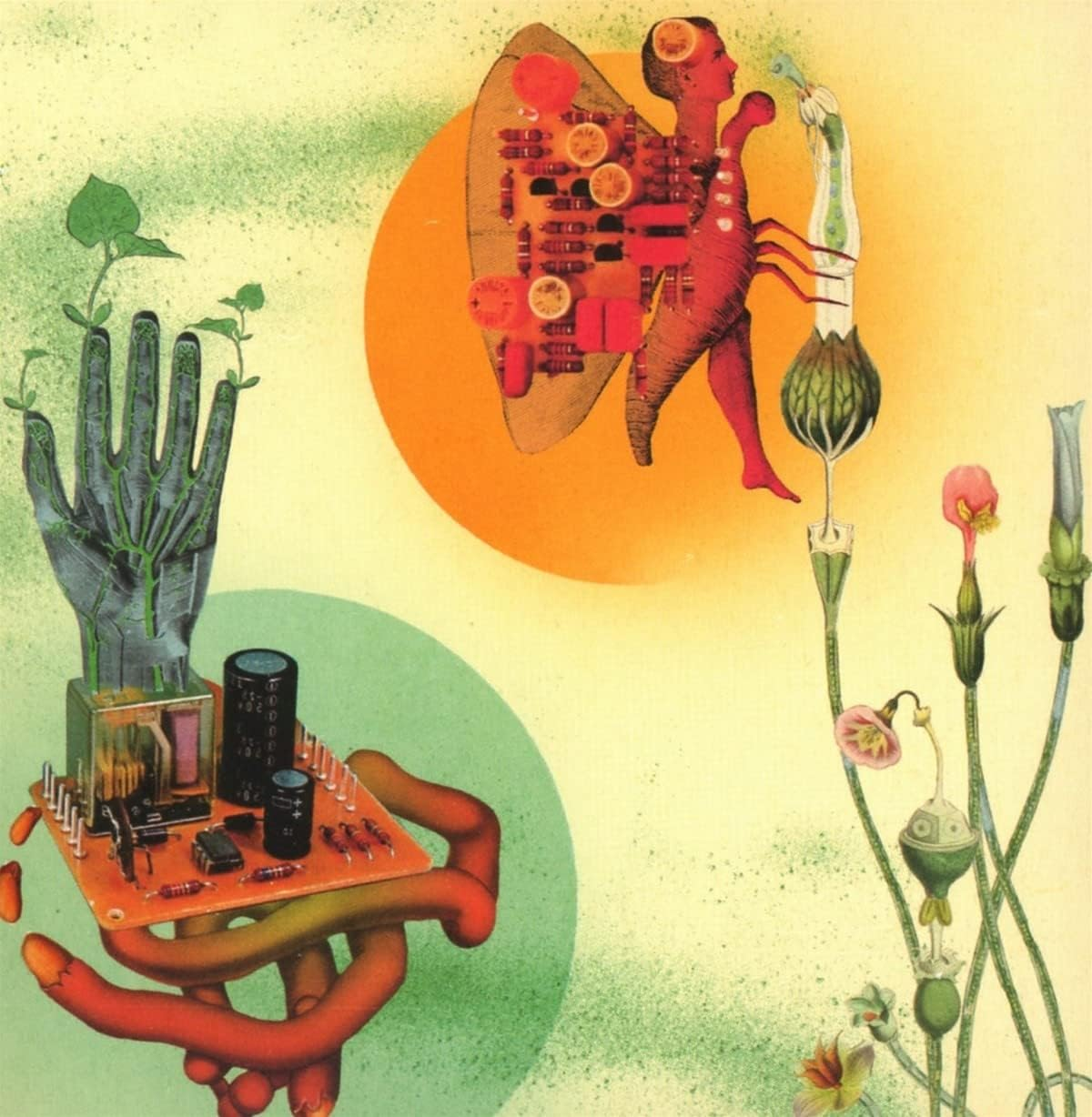 Akousmatikous Akousmatikous