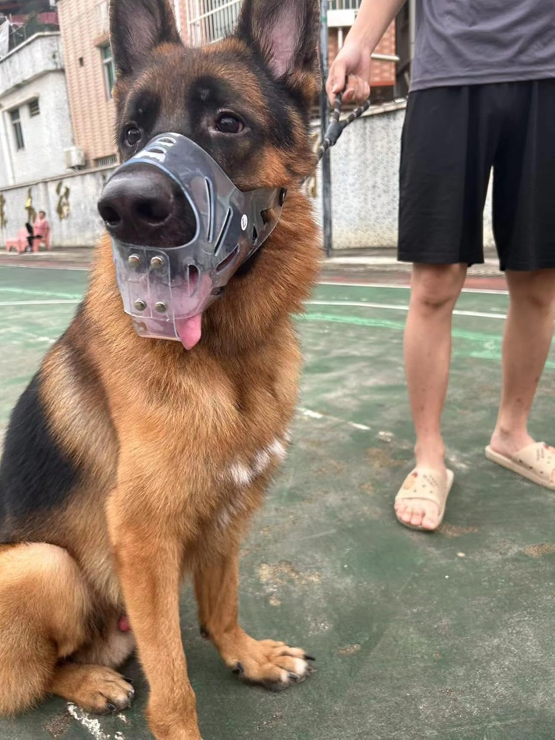 Muzzle for Dogs, Transparent PVC for Large Dogs, Dogs Can Panting, Eating and Drinking, Prevents Biting and Browsing Wild Animals, Comfortable, Breathable (L) image number 3