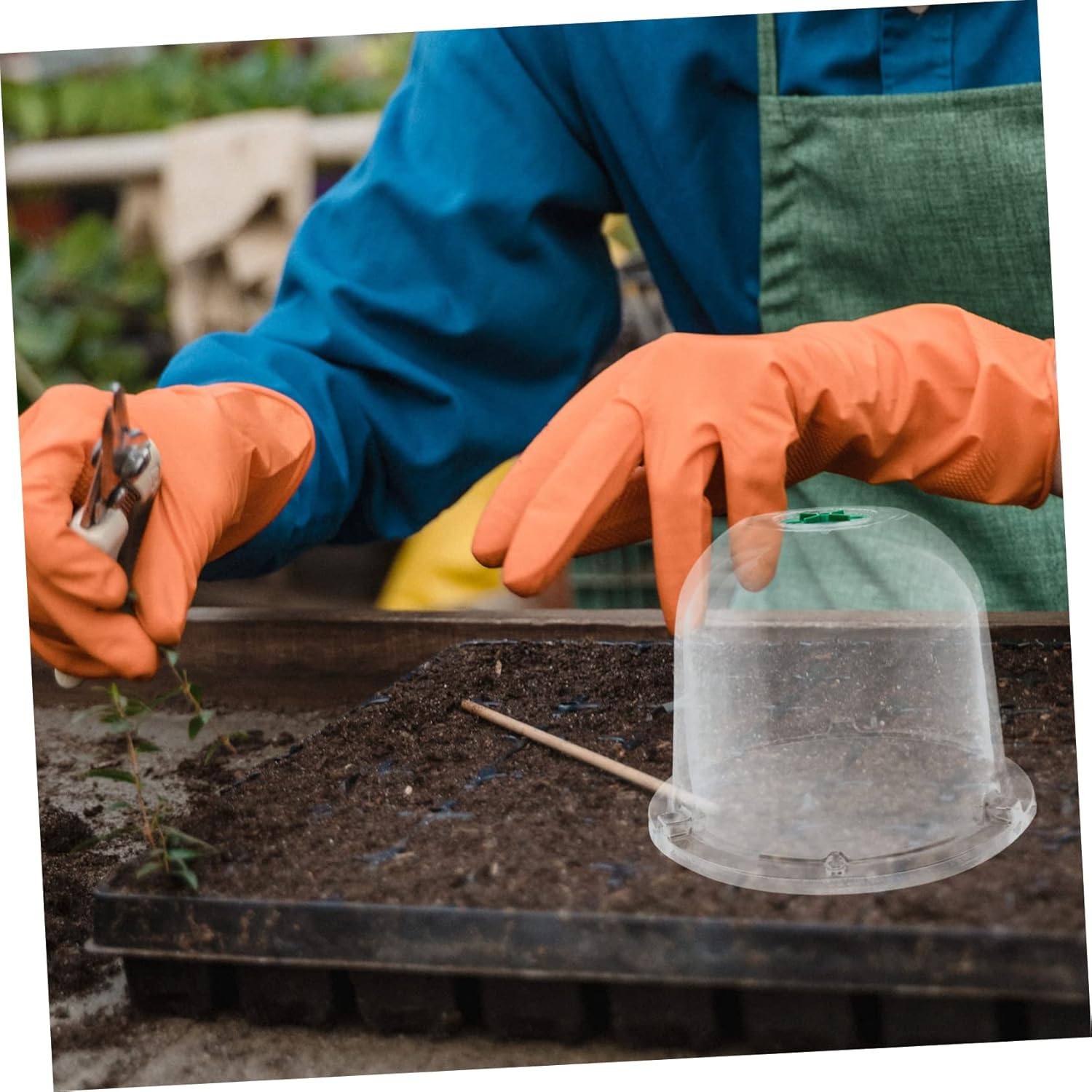 Toddmomy 5Pcs Reusable Plant Transparent Greenhouse Dome for Outdoor Plants Easy to Install for Harsh Weather Conditions image number 2