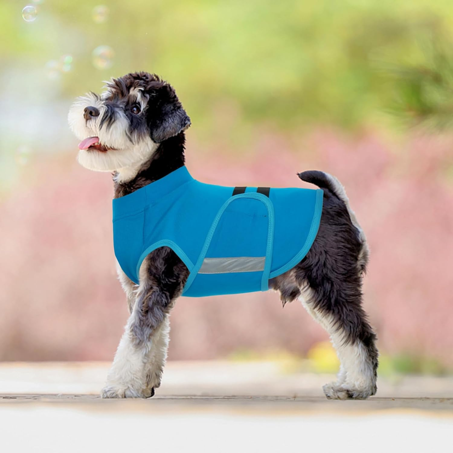 Dog Anxiety Relief Coat - Calming Vest for Small Medium Dogs | Adjustable Machine Washable Pet Anxiety Jacket for Fireworks & Travel Stress-Blue-Xs