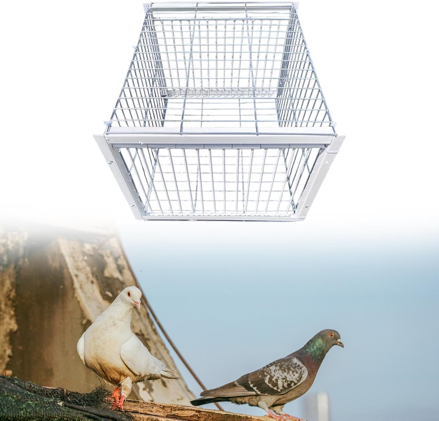 Yuksok Pigeon Trap Pigeon Coop Escaping Resistant Automatic Pigeon Collection Animal Trap Cage for Feral Cardinals Other Birds Woods image number 1