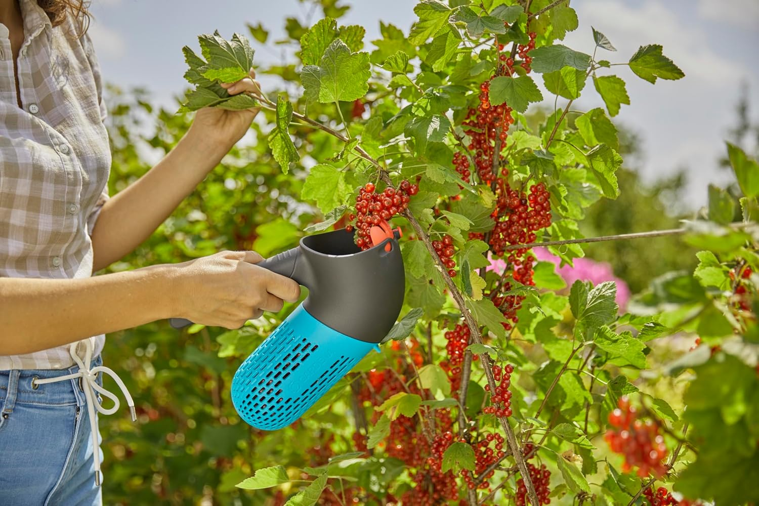 Gardena Combisystem Berry Picker: Harvester with Integrated Basket for Collecting Berries, Rotating Attachment for Berries or Fruit, Integrated Handle, Small Feet for Standing (17400-20) image number 3