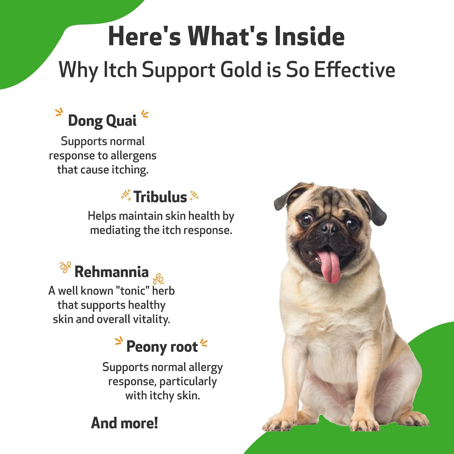 Pet Wellbeing Itch Support Gold for Dogs - Occasional Itching, Scratching, and Hot Spots, Environmental and Seasonal Allergies, Dong Quai - Veterinarian-Formulated Herbal Supplement 2 Oz (59 Ml) image number 5