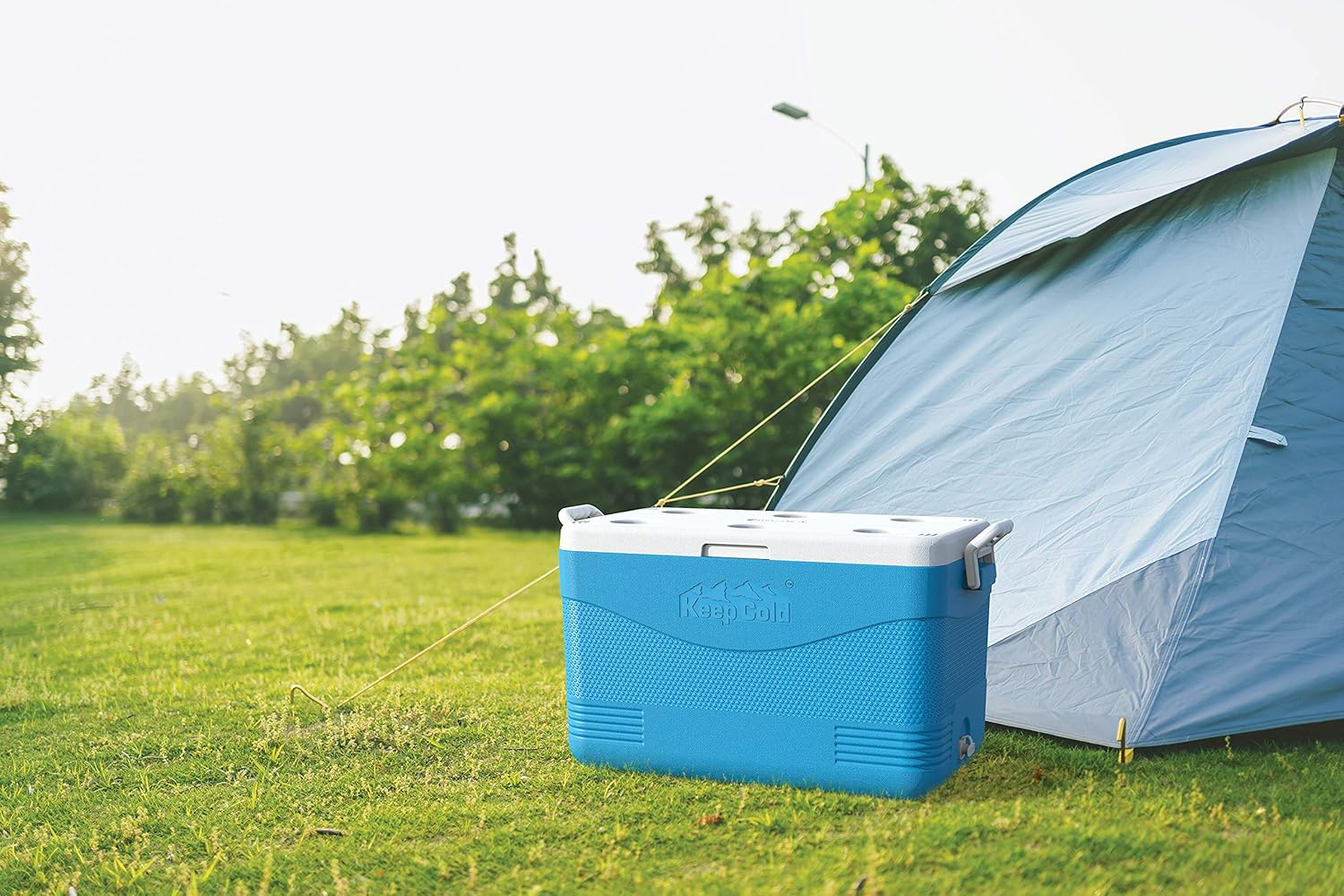 Duramax Picnic Icebox 60L, High Performance Cool Box with PU Insulation, Portable Cooler, 4 Days of Ice Retention, Side Handles with Secure Lid Locking & Cup Holders, Durable Cooler Box, Light Blue