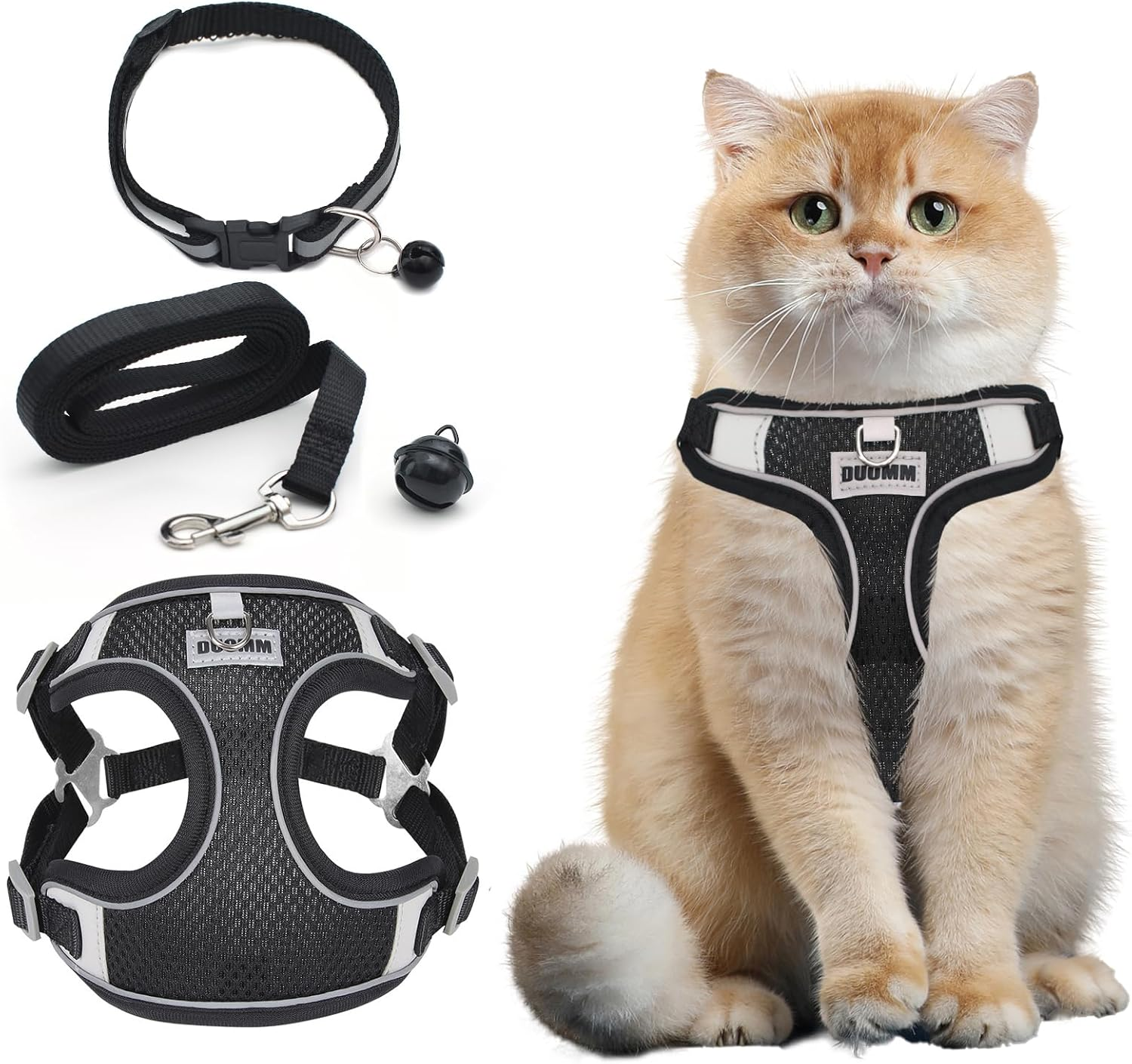 Cat Harness with Lead, Escape Proof, Adjustable Cat Harness, Escape Proof, Soft and Breathable Mesh, Cat Lead Harness for Cats and Small Dogs, Outdoor Training image number 6