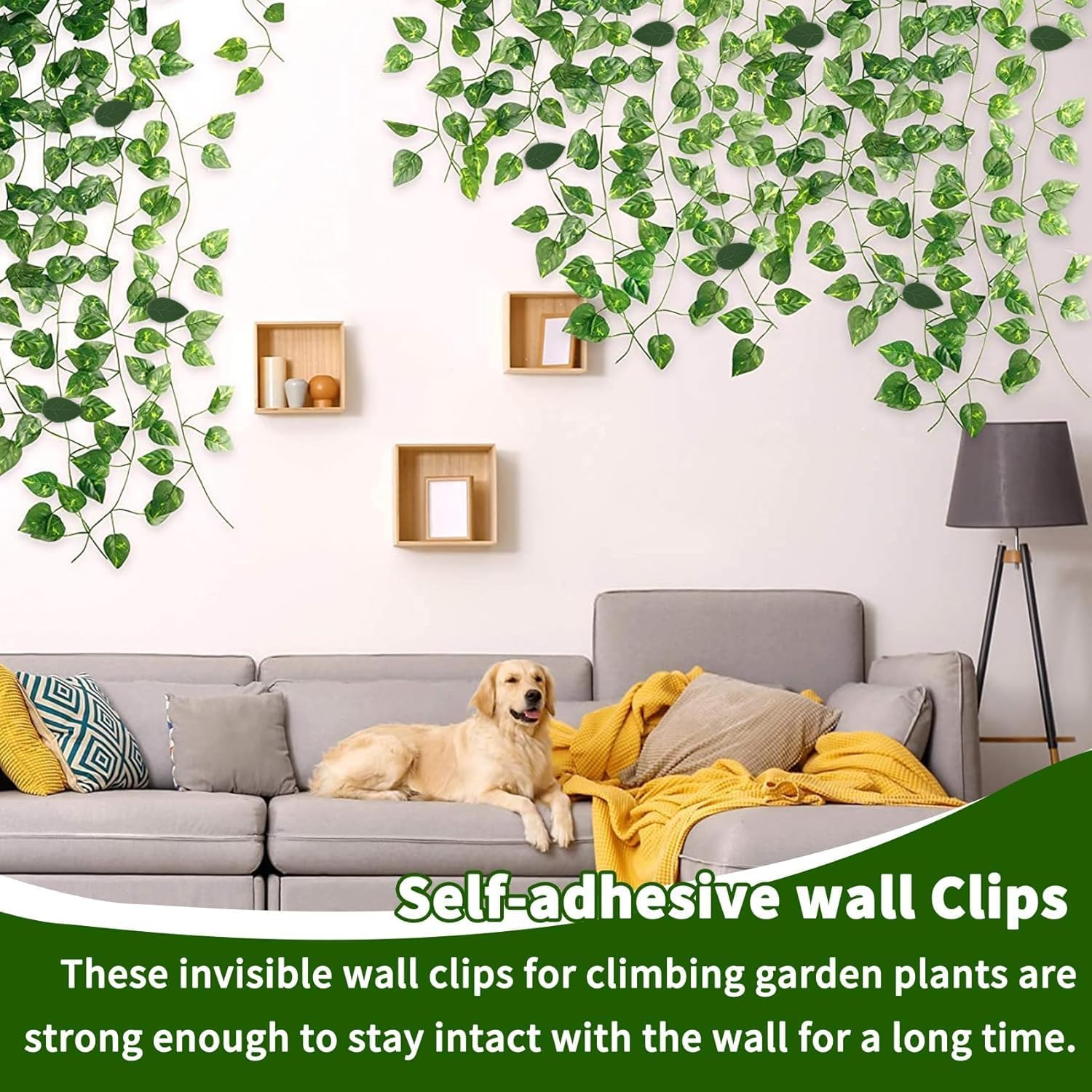 Plant Clips for Climbing Plants Outdoor Plant Hangers Indoor Plant Support Clips Plant Hangers Garden Clips for Plants Hooks Self Adhesive Tomato Clips 40Pcs image number 5