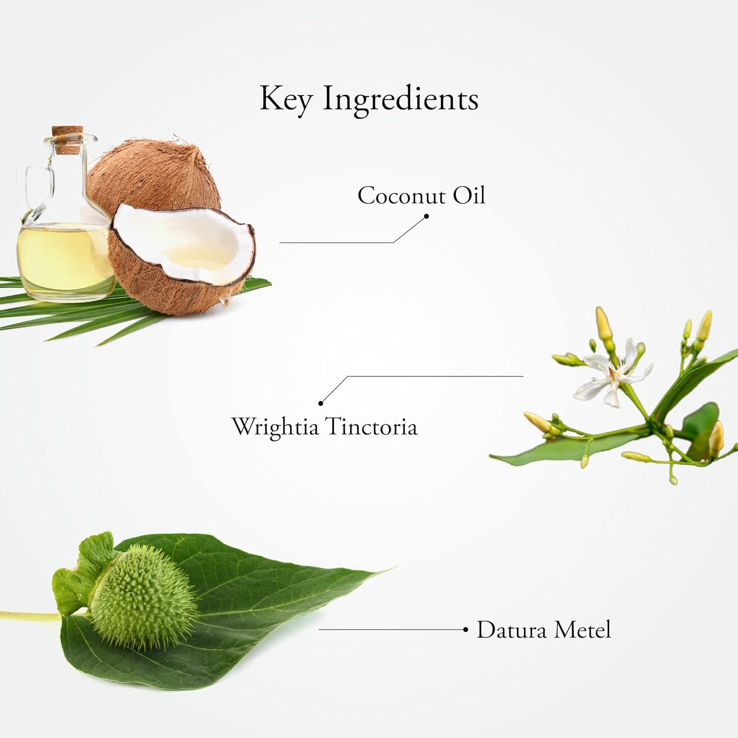 Sitaram Ayurveda Scurf Kerala Ayurvedic Herbal Oil for Hair 100Ml, Cures Dandruff, Soothes Dry and Itchy Scalp, Stimulates and Cleanses Hair Follicles image number 6