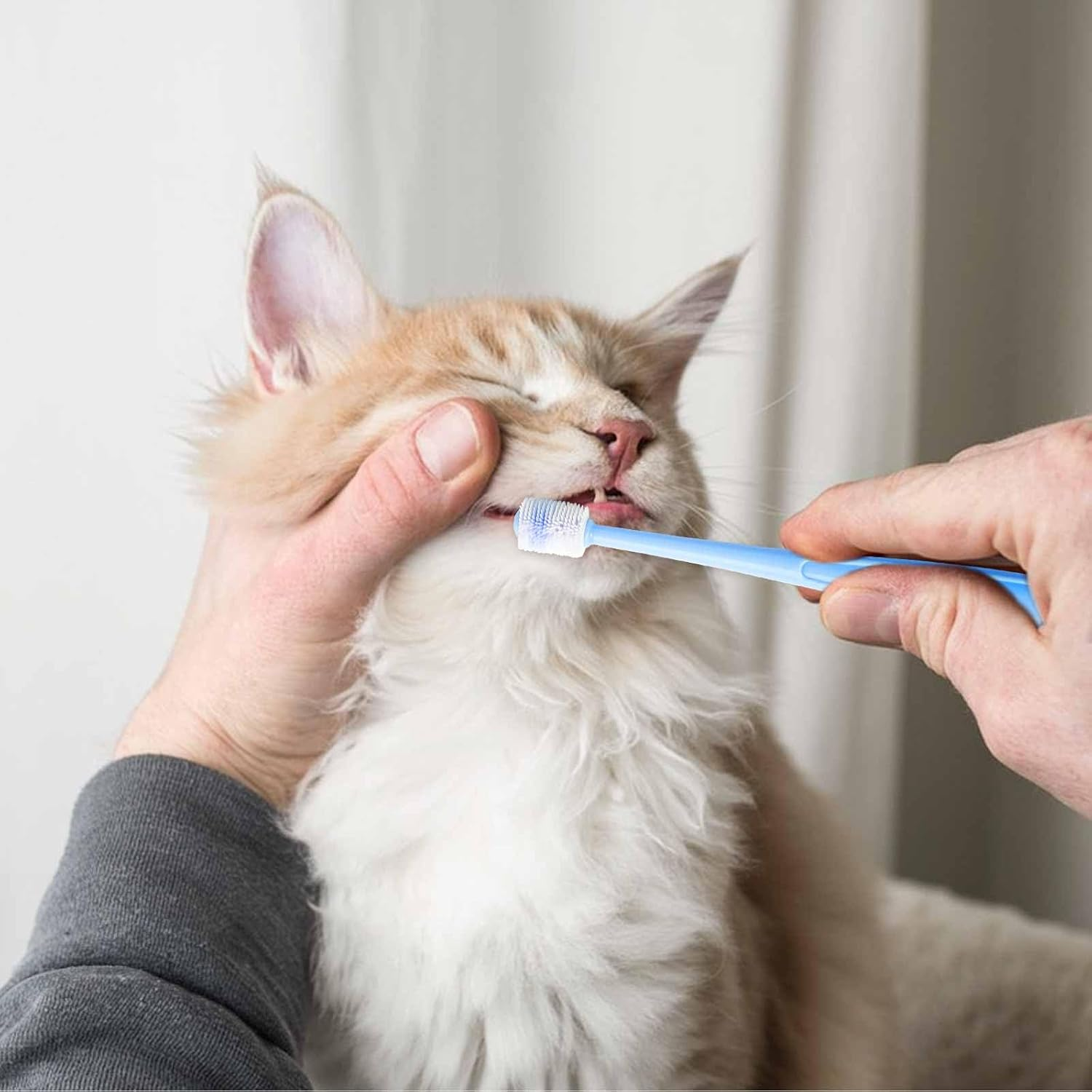 2 Pcs Small Dog Toothbrush Cat Tooth Brush 360 Degree Soft Silicone Pet Toothbrush Tiny Toothbrush Cat Dental Care Puppy Dogs Pet Tooth Cleaning Kit Deep Clean for Small Dog & Cat (Pink+Blue) image number 3