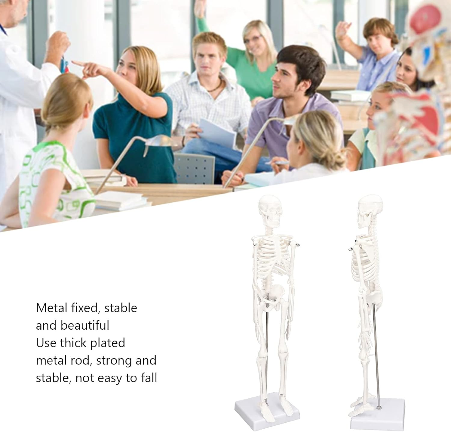Lifelike Human Skeleton Model, 17.71In Movable Joints Detachable Mini Human Skeleton Model Human Bone Structure with Metal Stand for Halloween Decoration Classroom Artists Science Lab image number 2